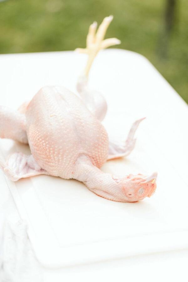 Whole Chicken Deposit